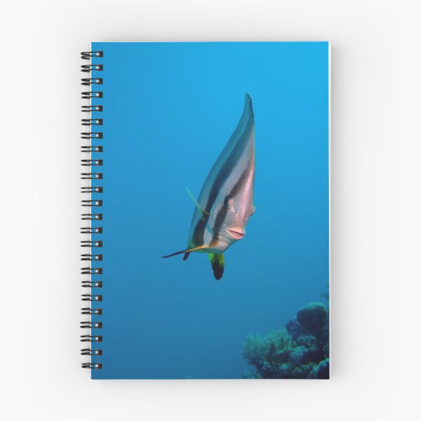 Item preview, Spadefish designed and sold by cooperscuba.