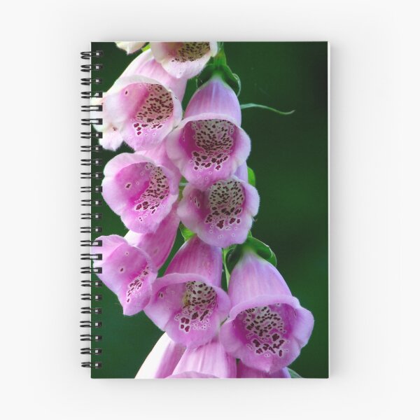 Item preview, Digitalis Purpurea designed and sold by TriciaDanby.