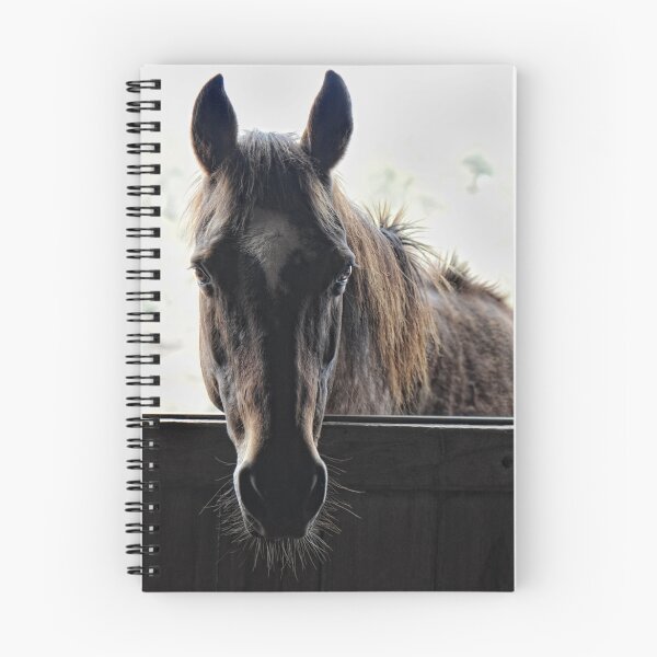 Item preview, what are you doing in my stable? designed and sold by nadine henley.