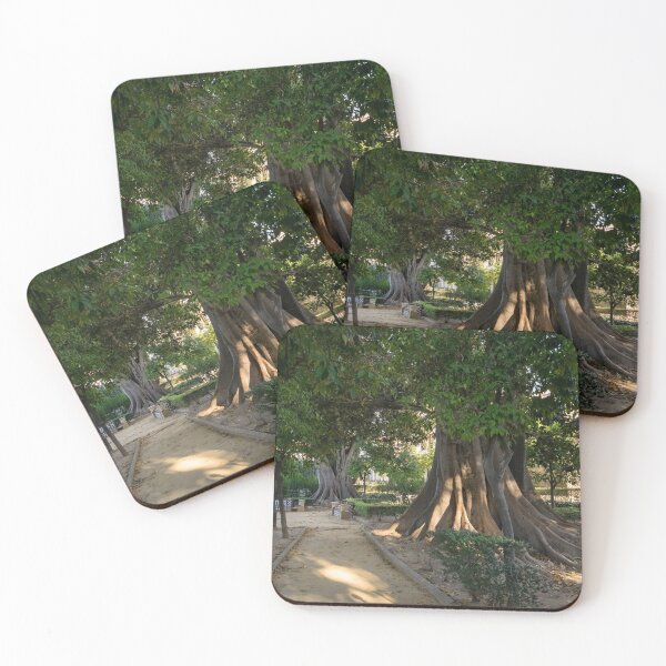 Item preview, Hiding from the Heat in Seville Spain - Jardines de Murillo Giant Ficus Trees designed and sold by Georgia Mizuleva.