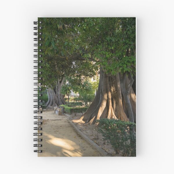 Item preview, Hiding from the Heat in Seville Spain - Jardines de Murillo Giant Ficus Trees designed and sold by Georgia Mizuleva.