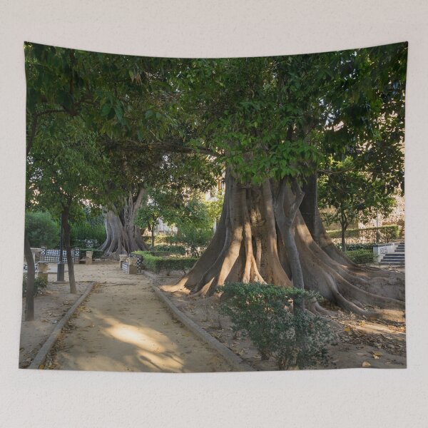 Item preview, Hiding from the Heat in Seville Spain - Jardines de Murillo Giant Ficus Trees designed and sold by Georgia Mizuleva.