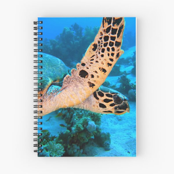 Item preview, Hawksbill Turtle designed and sold by lilithlita.