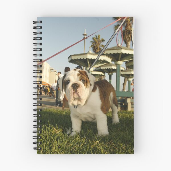 Item preview, Ike !!!!!!!!!!!! designed and sold by loyaltyphoto.
