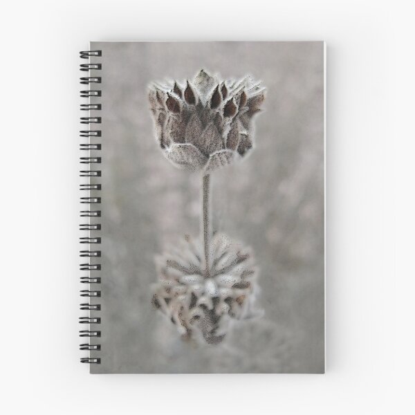 Item preview, Dried Flower designed and sold by Ellen Cotton.