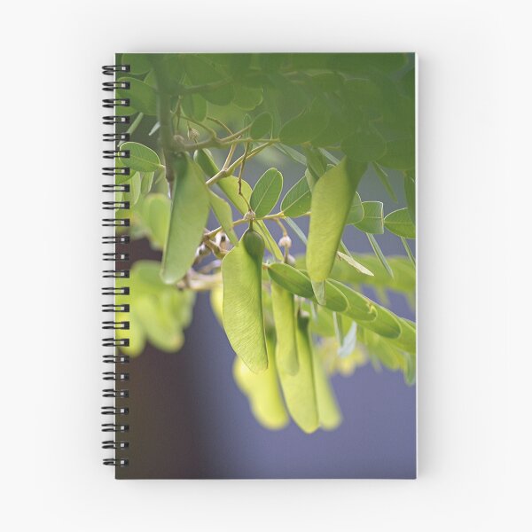 Item preview, Seed Pods designed and sold by robynart.