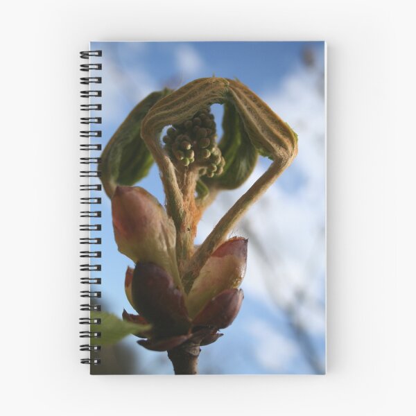 Artikelvorschau, Spring buds after a long, hard winter. entworfen und verkauft von Anna Goodchild.