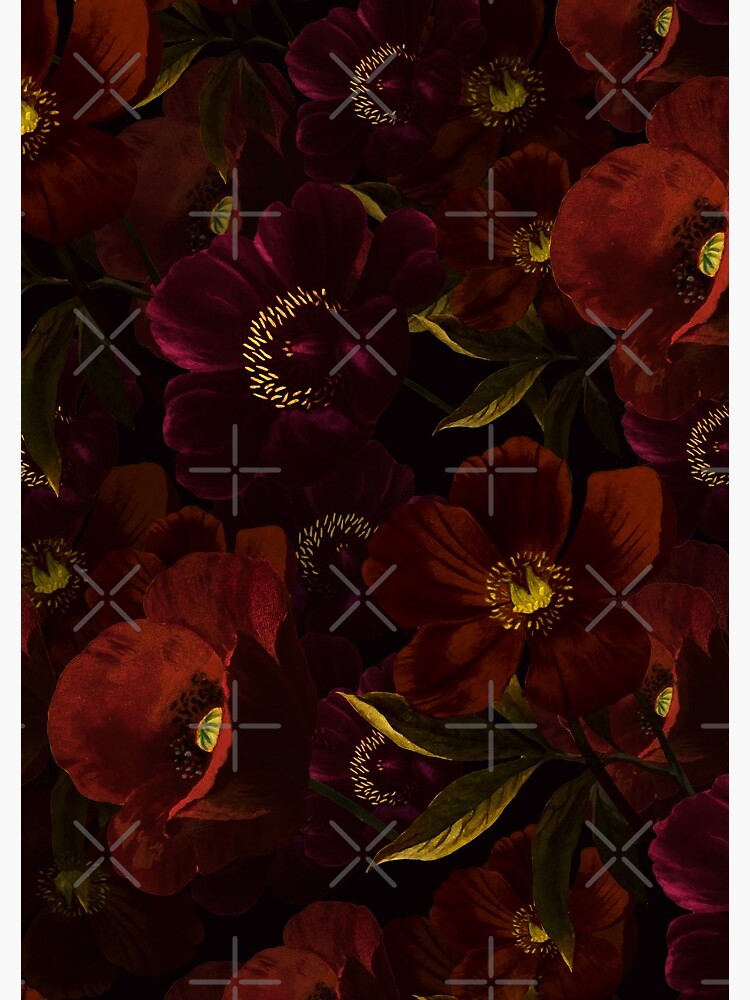 Poppies at night by UtArt
