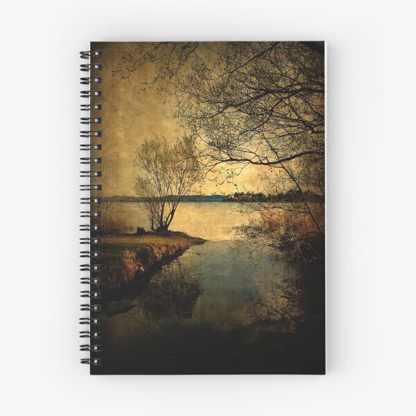 Item preview, Painted lake designed and sold by Roberto Pagani.