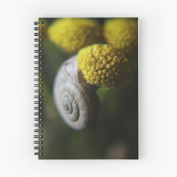 Item preview, Snail (from wil flowers collection)  designed and sold by Antanas.