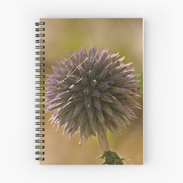 Item preview, Seed Forming designed and sold by Robert Abraham.