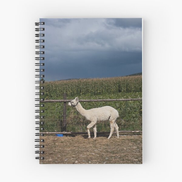 Item preview, The Llama designed and sold by Daphne Johnson.