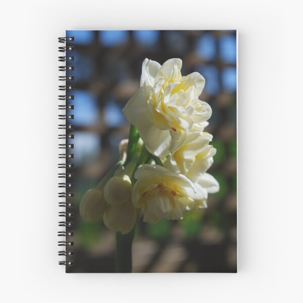 Item preview, Love Stares us in the Face until we are Willing to Look designed and sold by Lozzar Flowers & Art.