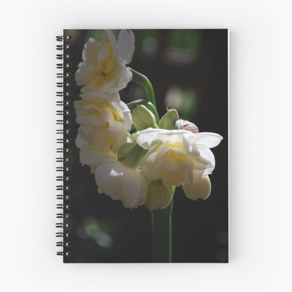 Item preview, Love is an action of Giving designed and sold by Lozzar Flowers & Art.