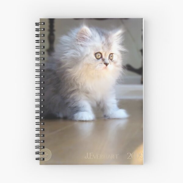 Item preview, Paris Looking Out designed and sold by Julie Everhart.