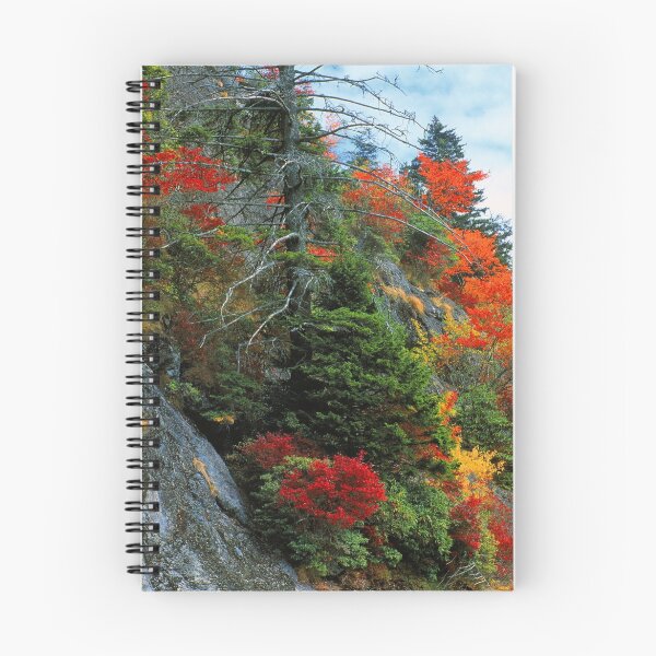 Artikelvorschau, AUTUMN COLOR entworfen und verkauft von Chuck Wickham.