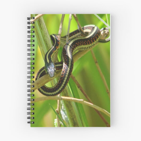Item preview, Sneaky Snake designed and sold by tkrosevear.