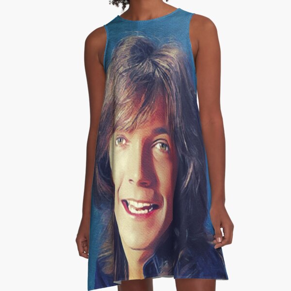 David Cassidy, Hollywood Star A-Line Dress