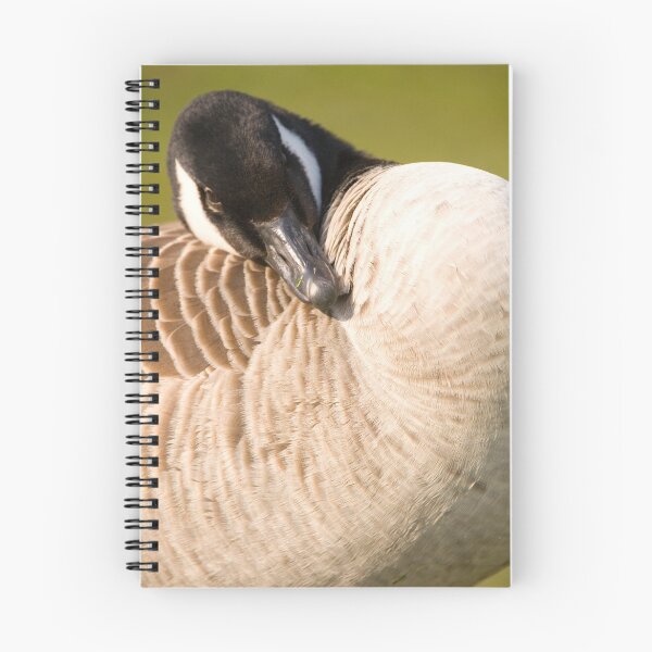 Item preview, Canada goose designed and sold by Ian Middleton.
