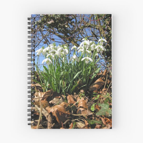 Item preview, Snowdrops under a Hampshire hedgerow in February. designed and sold by Philip Mitchell.