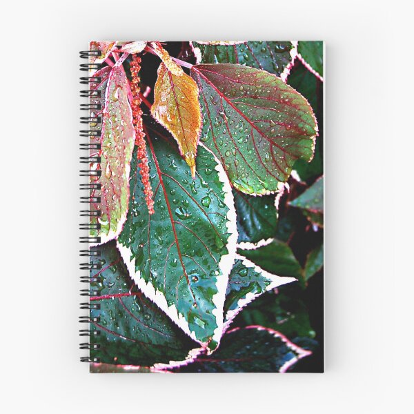 Item preview, Acalypha Wilkesiana (Match Me If You Can) SOLVED in 11 guesses by Bubblehex  designed and sold by triciamary.