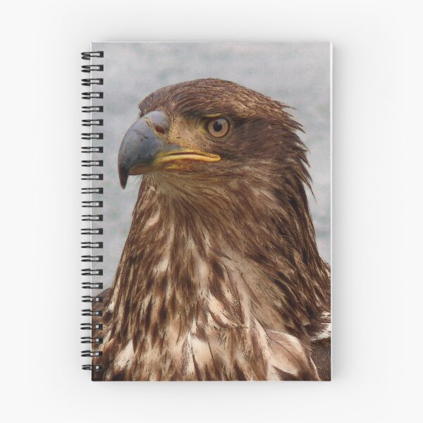 Item preview, Eagle Portrait designed and sold by Gail Bridger.