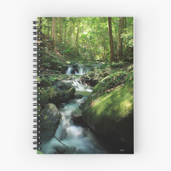Aperçu de l'œuvre Rainforest Stream créée et vendue par Matt  Harvey.