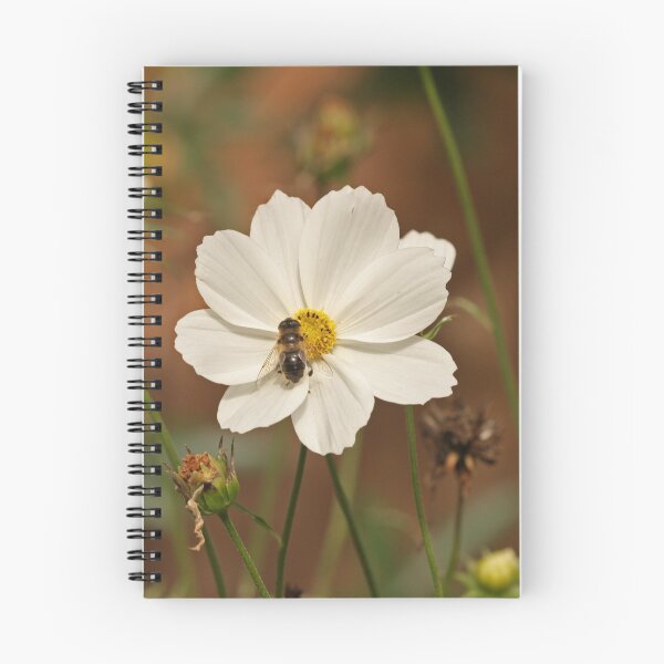 Item preview, Hoverfly & Senecio elgants designed and sold by Robert Abraham.