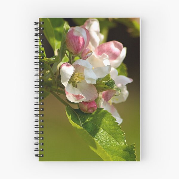 Item preview, Apple Blossom designed and sold by Bob Culshaw.