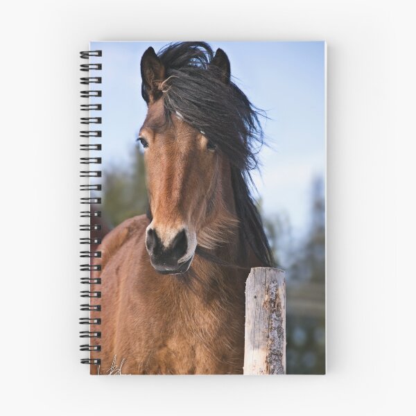 Item preview, The Horse Next Door designed and sold by Håvard Bartnes.