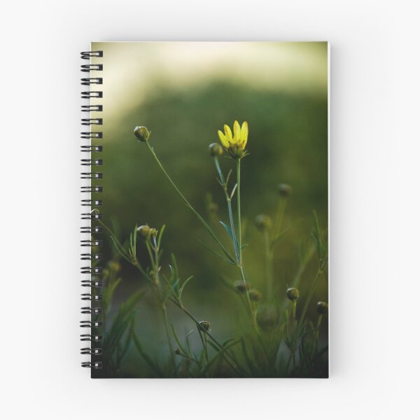 Item preview, moonbeam coreopsis designed and sold by Rachel  McKinnie.