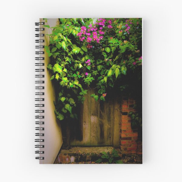 Item preview, Secret door designed and sold by Pat Shawyer.
