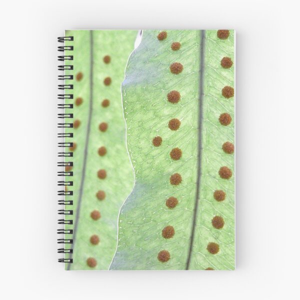 Item preview, fern  designed and sold by Floralynne.