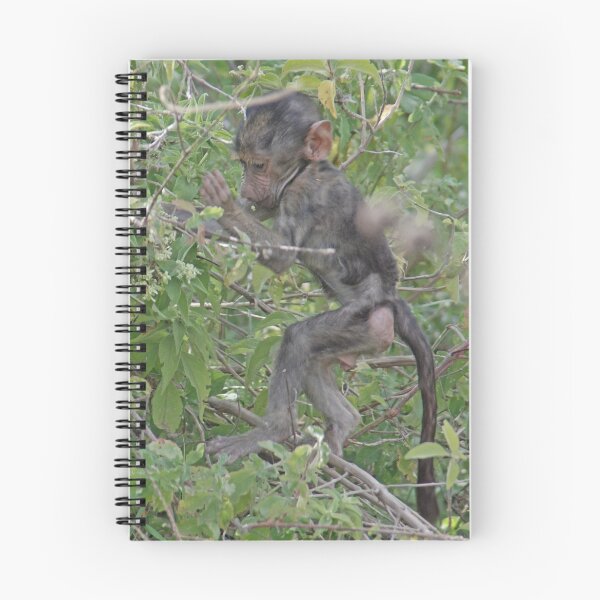 Item preview, Baby Baboon Adventuring, Arusha NP, Tanzania, Africa (Y) designed and sold by Adrian Paul.