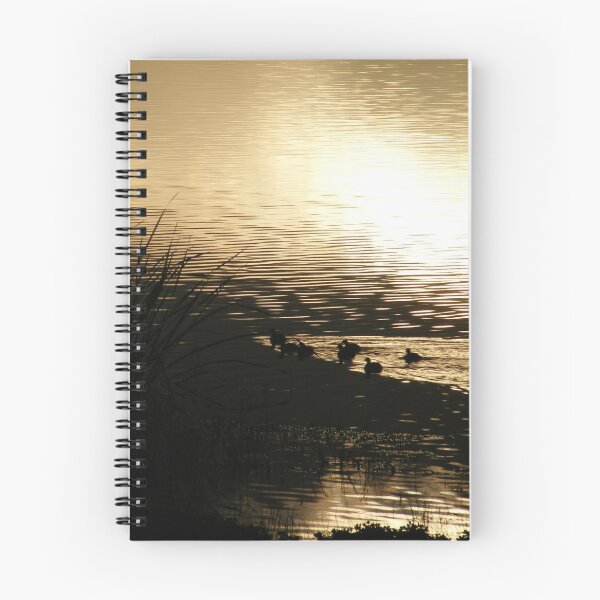 Item preview, Baby Ducks at Dawn - Lake Curlew, NSW designed and sold by gregorymcinnes.