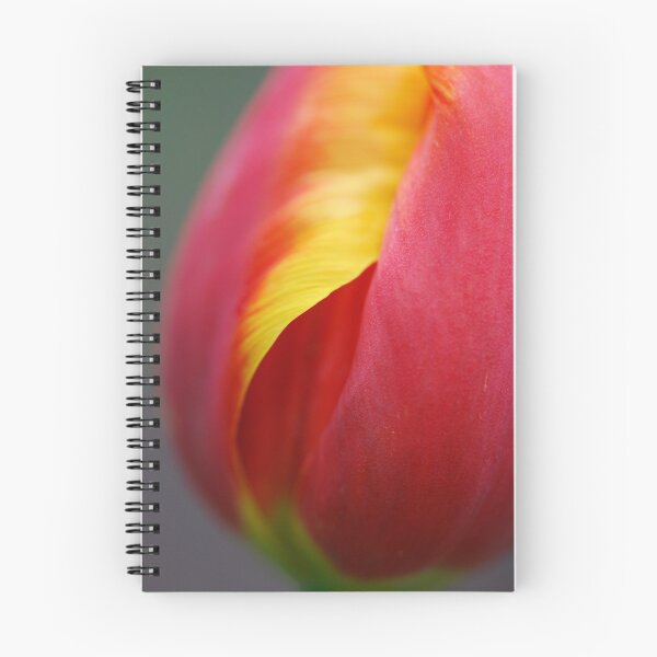Item preview, tulipán designed and sold by Tamara Cornell.