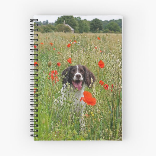 Item preview, The Colourful Life of a Springer designed and sold by Ryan Crisp.