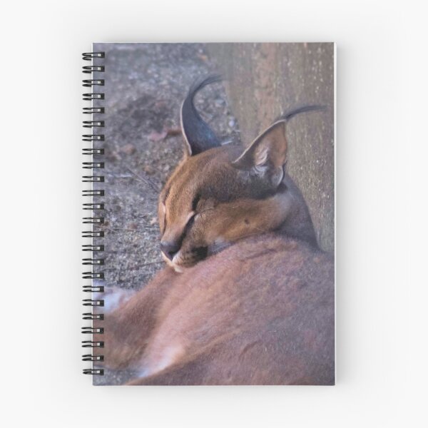 Item preview, CARACAL - Felis caracal - 1125 views 2011/09/09 designed and sold by Magriet Meintjes.