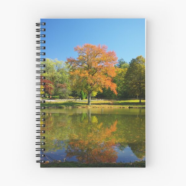 Item preview, With Reflection designed and sold by Karen Checca.