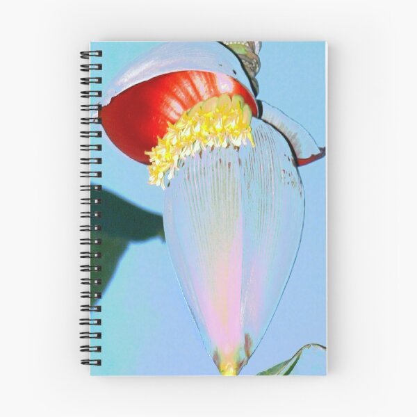 Item preview, Orange banana flower designed and sold by B. Randi Bailey.