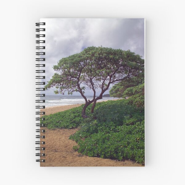 Item preview, Kealia Beach Kauai designed and sold by Dennis Begnoche.