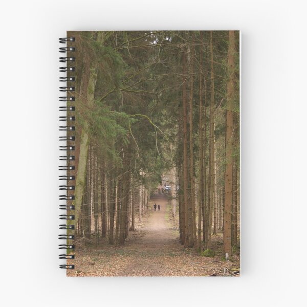 Aperçu de l'œuvre Forest in Alsace créée et vendue par Frederic Chastagnol.