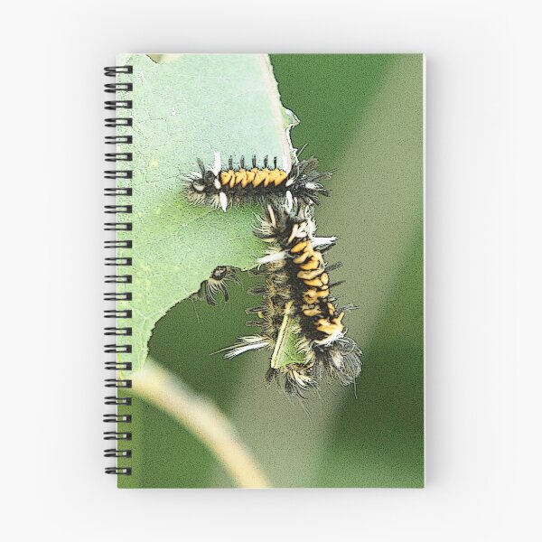 Item preview, 4 Milkweed Tiger Moths (Special Effects) designed and sold by DigitallyStill.