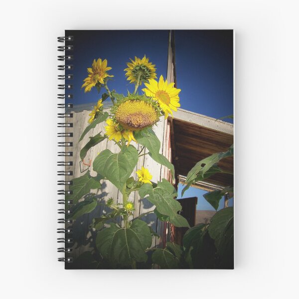 Item preview, unusual sunflower designed and sold by conilouz.
