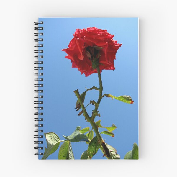 Item preview, Rose designed and sold by Vittorio Magaletti.
