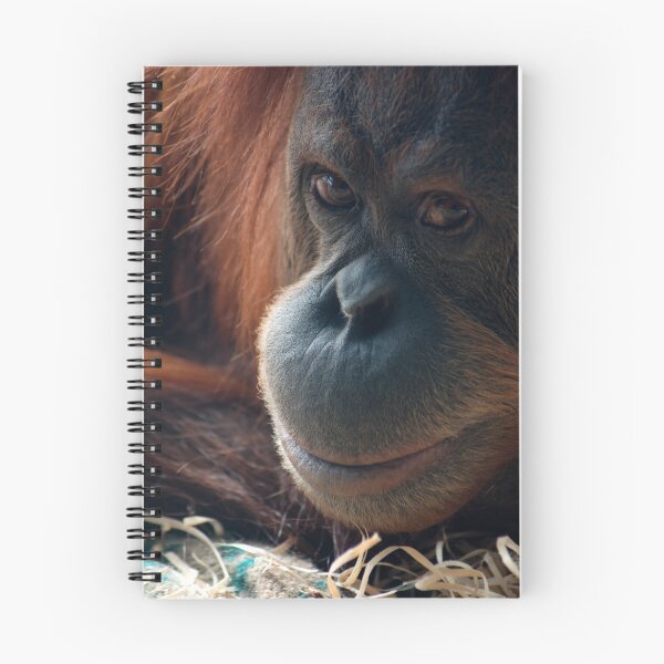 Item preview, Orang-utan designed and sold by Kylie Reid.