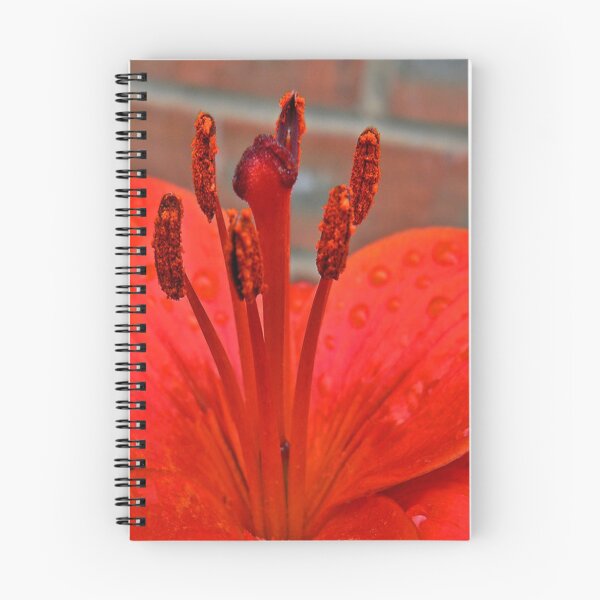 Item preview, Lily Stamen designed and sold by Trevor Kersley.