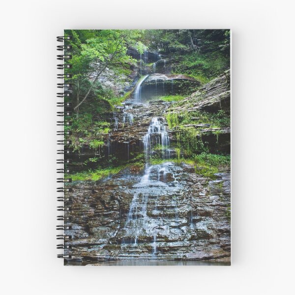 Aperçu de l'œuvre Cathedral Falls créée et vendue par LeeAnne Emrick.
