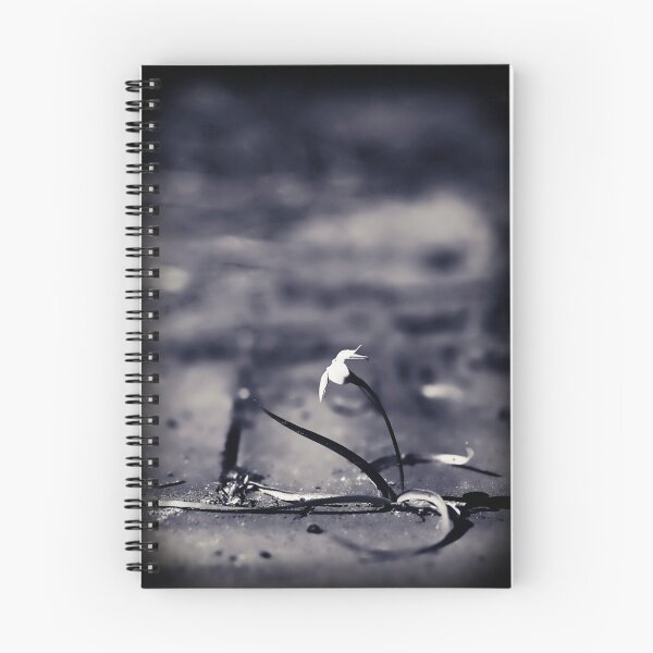 Item preview, ...through cobbled path... designed and sold by Geoffrey Dunn.