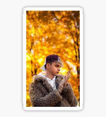 Corbyn Besson Sticker